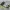 Espátula Doble para Cama Caliente HARD & SOFT SCRAPER