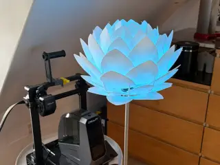 Pinecone Lamp