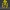 The_Scorn