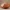 Low Poly Gezonken Schat