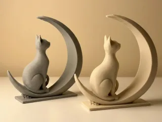 仰望月亮的猫