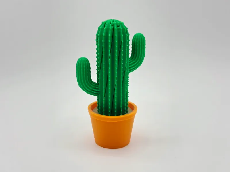 Fidget Giratorio de Cactus