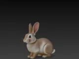 RABBIT-0