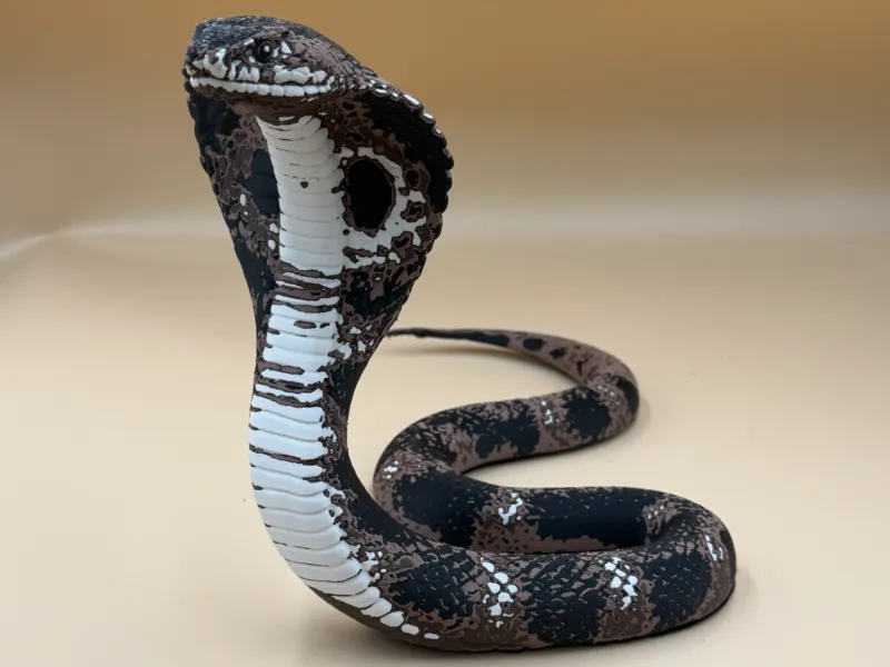 The Hypnotic Monocled Cobra