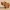 Capybara pixelado