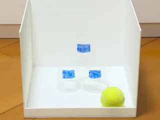 Carnival games