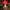 Enchanted Mushroom Lamp