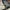 Revopoint POP4 3D-scanner lensbeschermkap