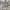 PACK OF 14 PRE-COLUMBIAN CLAY CUTTERS