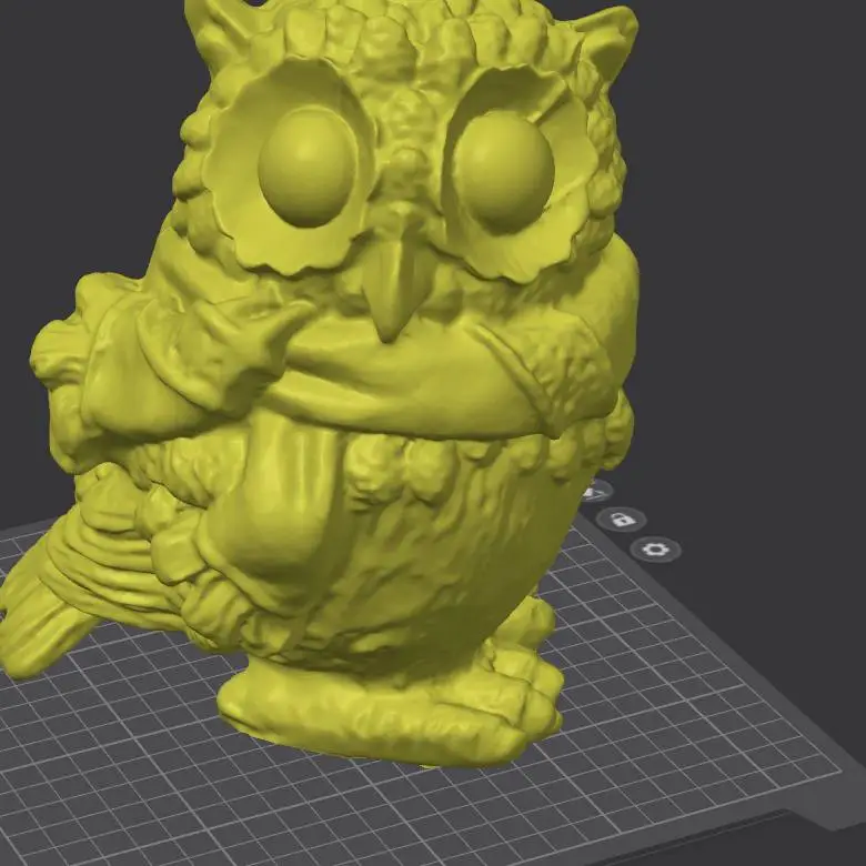 Owl