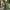 Zumbi do Cone - Plants vs. Zombies