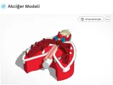 Akciğer Modeli-0