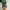 Flexi Animal hospital Psychologist 3D Model STL 3mf