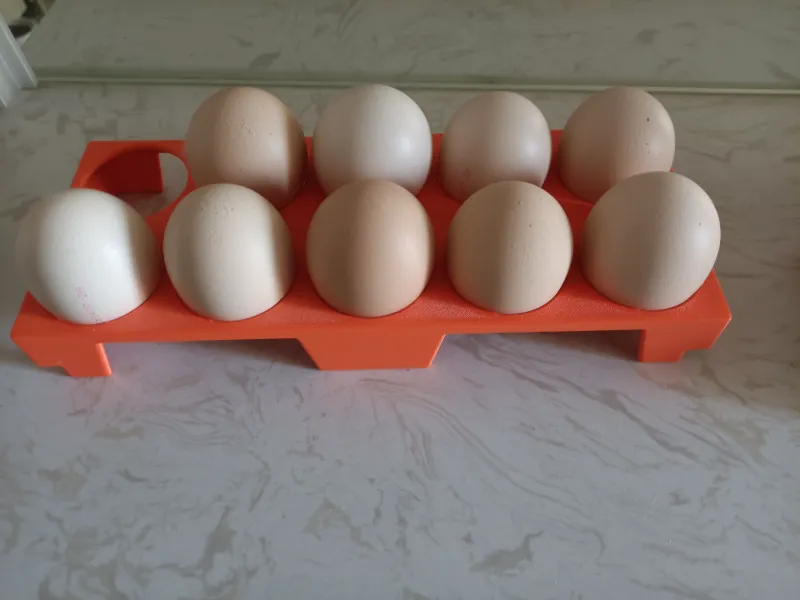 Egg holder