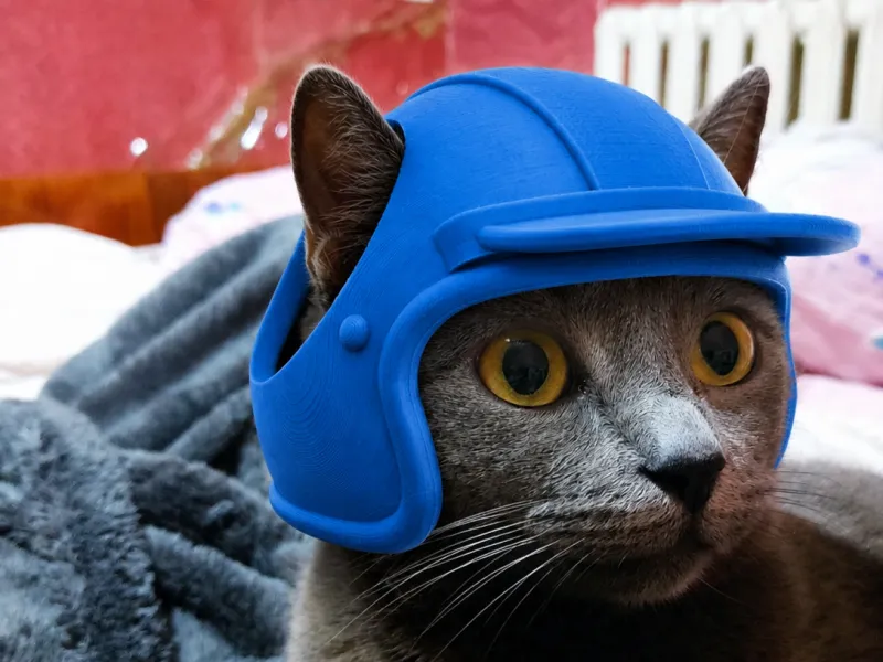 Cat Helmet