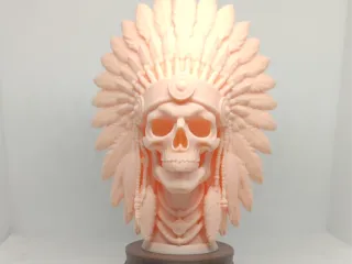 Indian Featherd Skull CR
