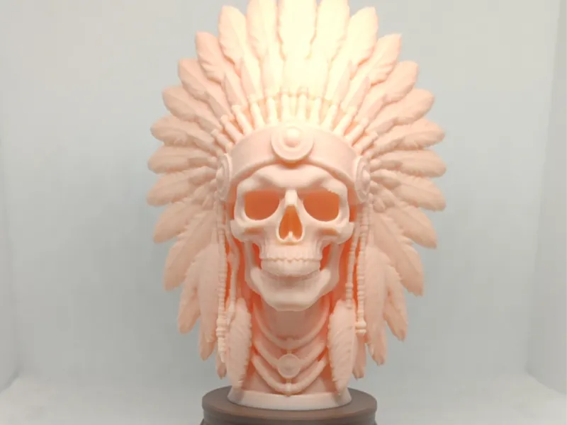 Indian Featherd Skull CR