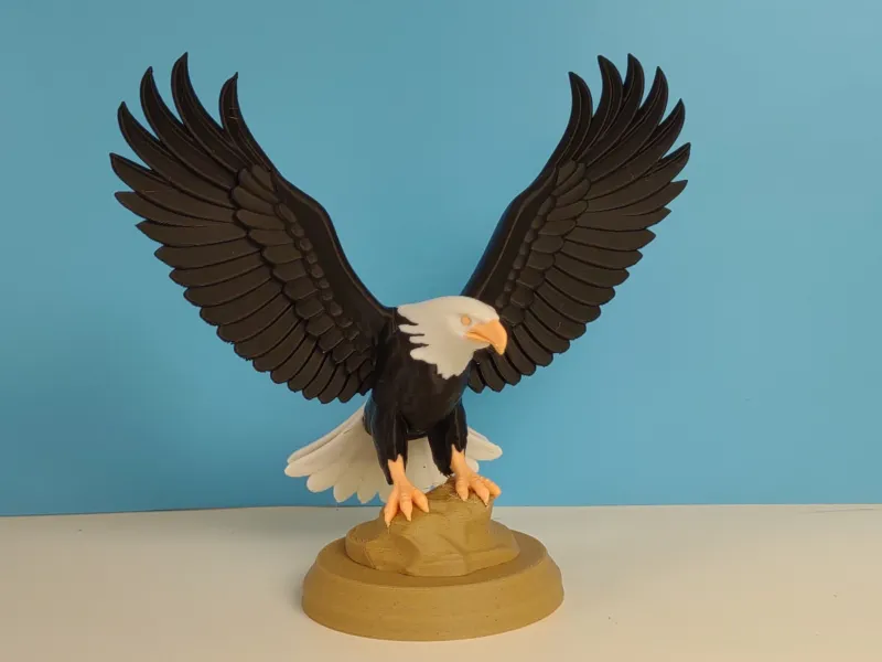 Águia Americana
