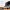 Sop_Port_v1
