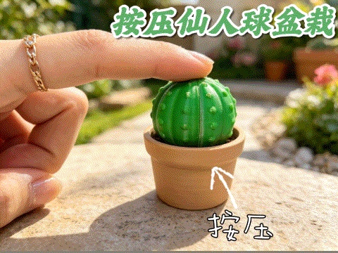 Cactus Pressing Toy仙人球按压玩具