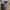 Batman-Logo-Tasse