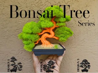 Bonsai Tree Series - Moss Grove Edition (3 Versions)