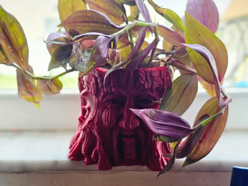 Wisdom Tree Planter