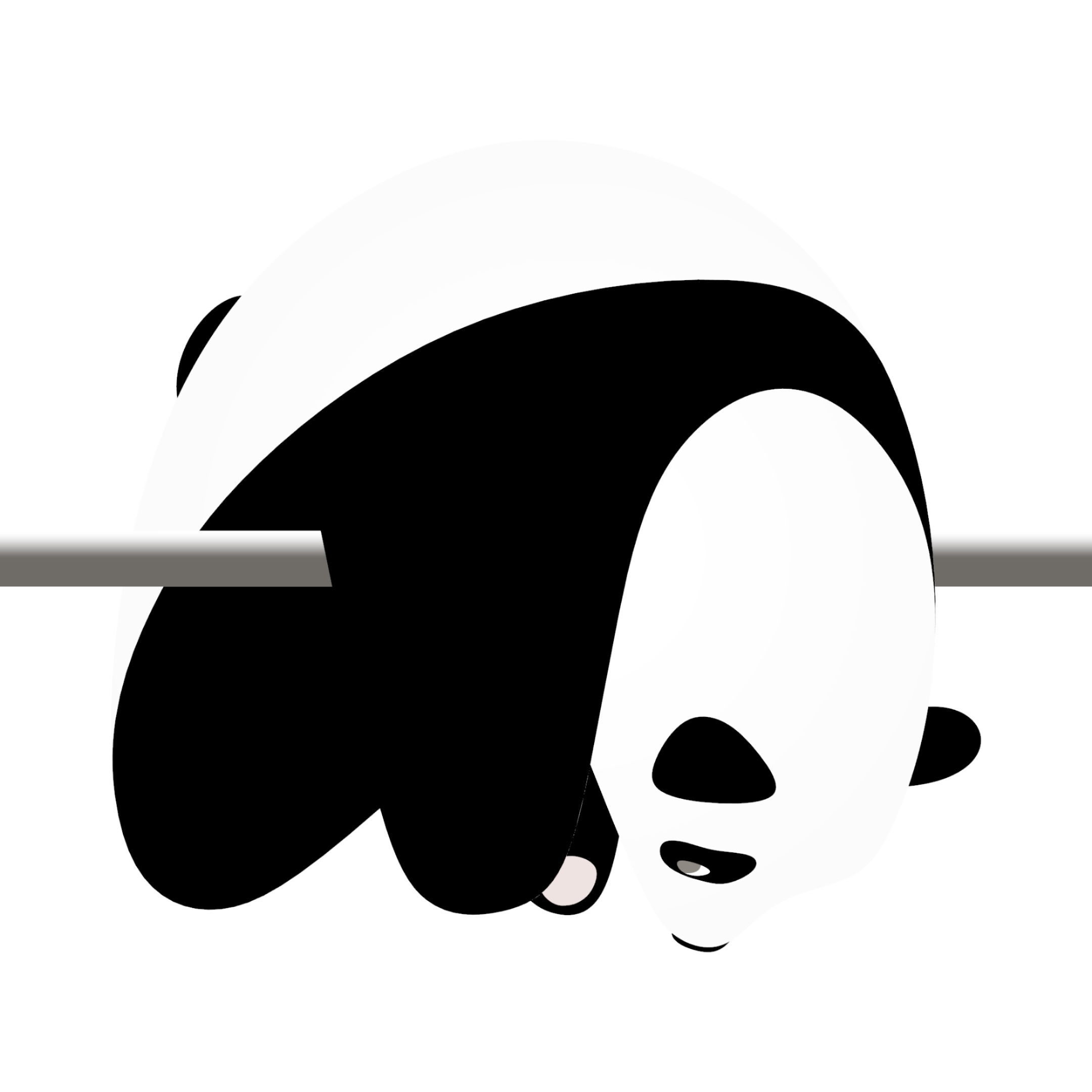 avatar of PandaN Design