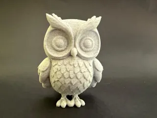 owl