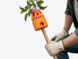 Fruit Picking-0