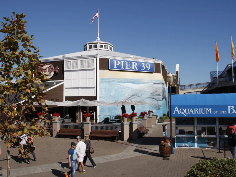 Pier 39 Califronia AI generated Make Now