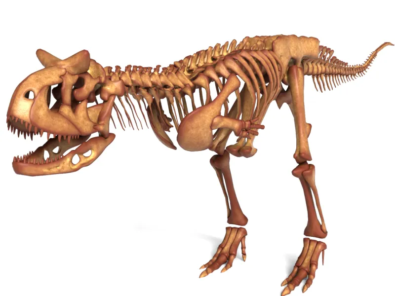 Carnotaurus Skeleton – Realistic Detailed Prehistoric Dinosa
