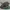 Low Poly Dugong