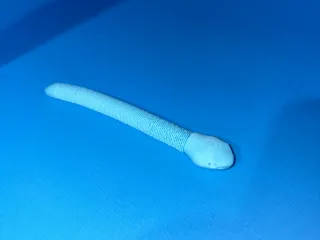 slinky snake