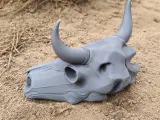 Bull Skull-0