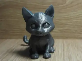 cute cat