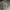 AECATA0 – Catacombs - The Starter Cult