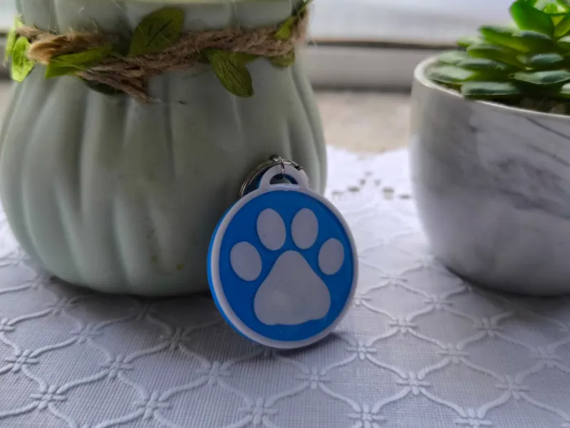Pet ID Tag