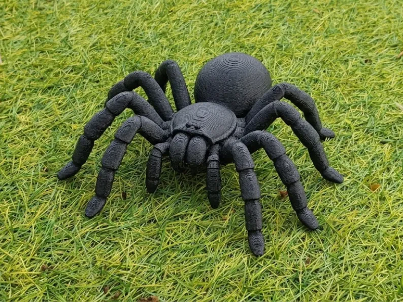 Tarântula Golias – Aranha para Impressão 3D