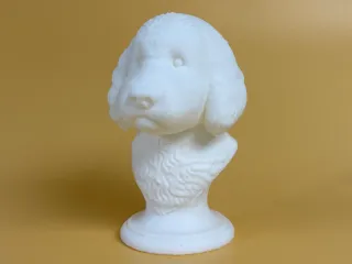 Goldendoodle X