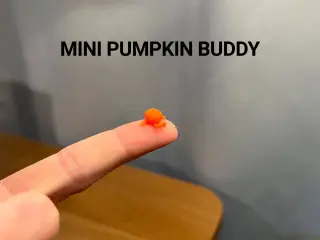 Mini Pumpkin Buddy