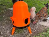 Chicken+Feeder-0