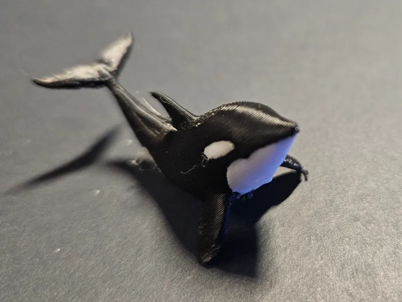 Orca