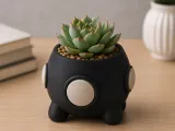 Modern Round Mini Plante-0