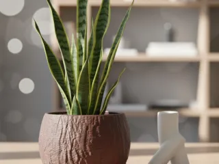 Natural Wood Planter
