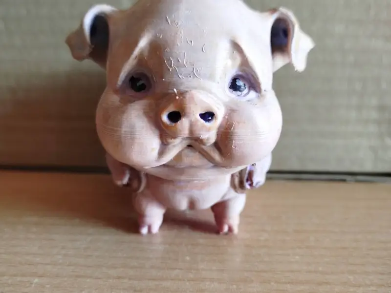 Mutated cute PIG