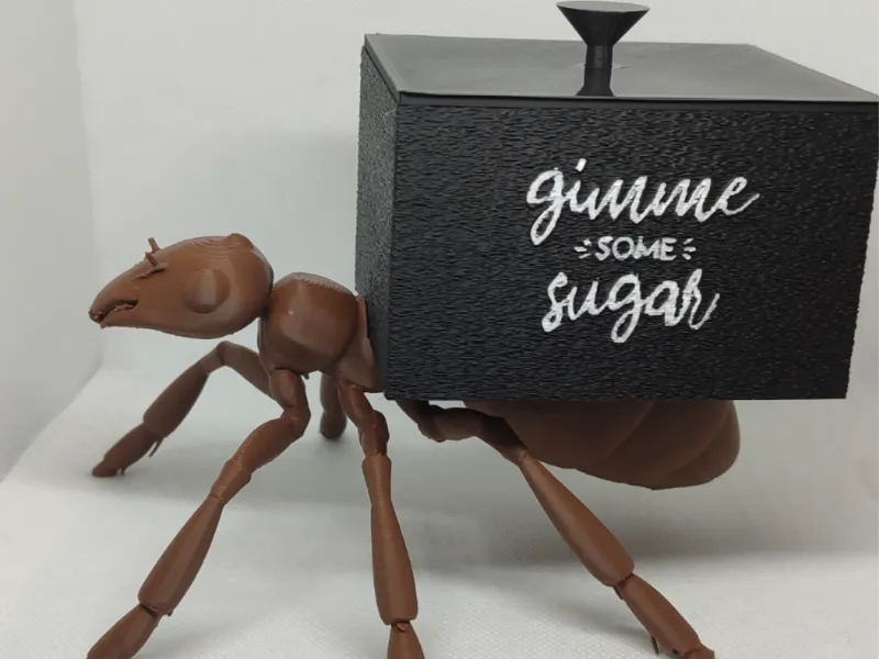 Boîte à sucre Fourmi CR