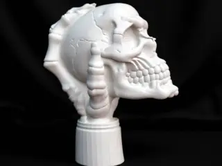 Skull Hand Decoration