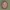 Masha and the Bear cutter + stamp