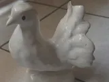 pigeon-0